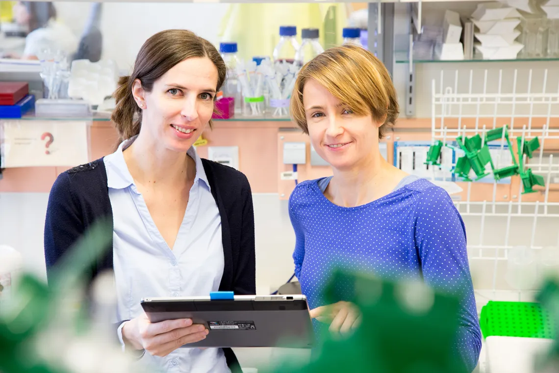 Die diesjährigen Forschungspreisträgerinnen Prof. Dr. Martina Rauner und Dr. Ulrike Baschant im „Bone Lab“ der TU Dresden. Foto: Stephan Wiegand, TU Dresden