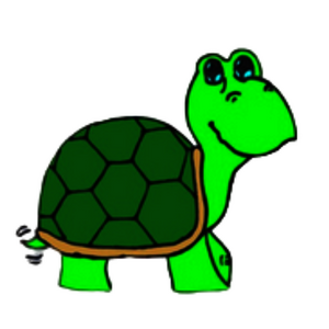 Grüne Schildkröte mit sechseckigem Panzer und fröhlichem Gesichtsausdruck, die nach rechts schaut.