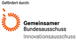 Logo des Gemeinsamen Bundesausschusses mit stilisiertem orangefarbenem Kreis und Schriftzug 'Gemeinsamer Bundesausschuss Innovationsausschuss'