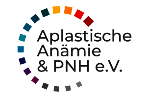 Bunter Halbkreis aus kleinen Quadraten über dem Text 'Aplastische Anämie & PNH e.V.' in grauer Schrift.