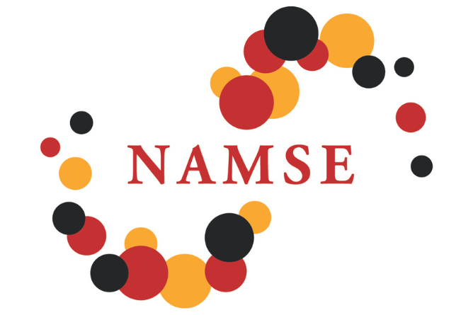 Logo NAMSE Logo NAMSE